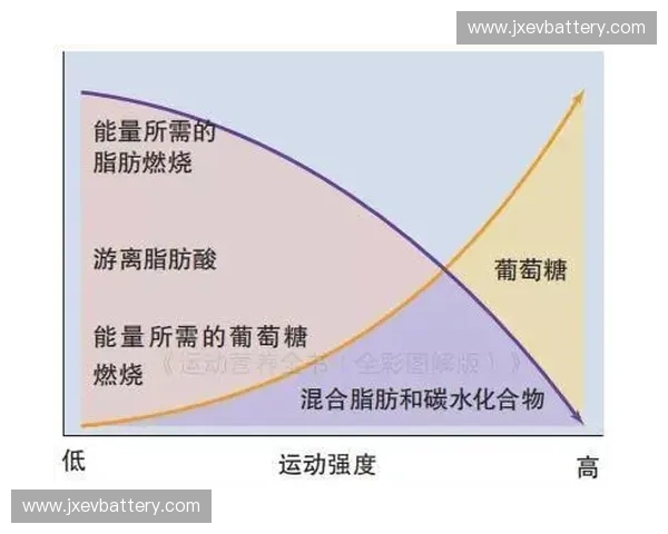 耐力测验柱在体育训练中的应用与影响分析