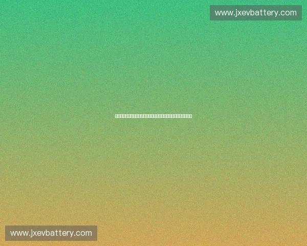 以运动精神点燃青春梦想共创拼搏未来新篇章强健体魄凝聚时代力量