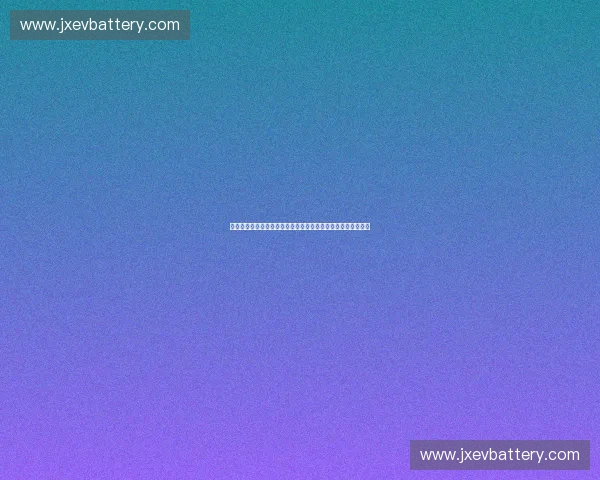 以体育品牌管理为核心的数字化转型与全球化营销战略创新研究