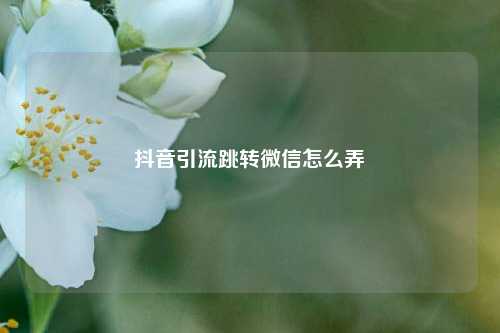 抖音引流跳转微信怎么弄