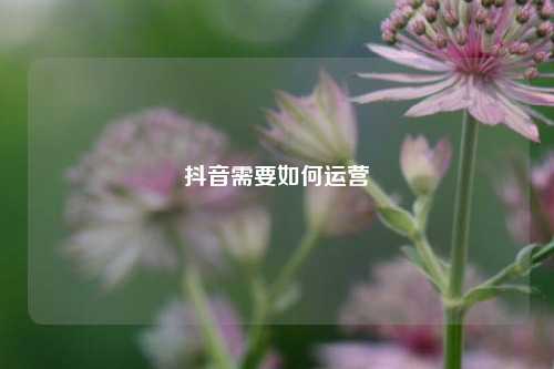 抖音需要如何运营