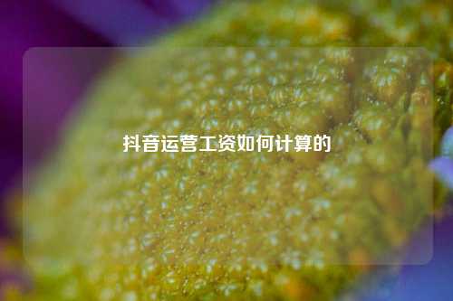 抖音运营工资如何计算的