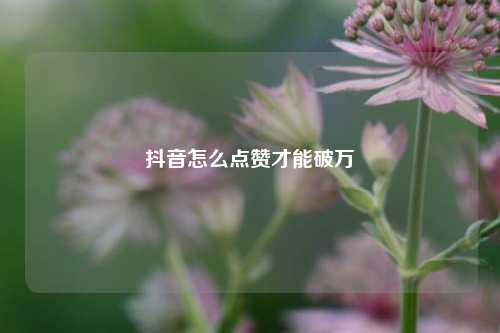 抖音怎么点赞才能破万