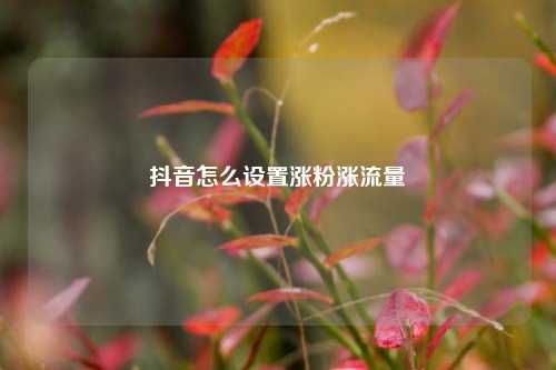抖音怎么设置涨粉涨流量