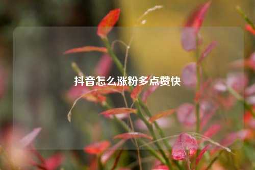 抖音怎么涨粉多点赞快