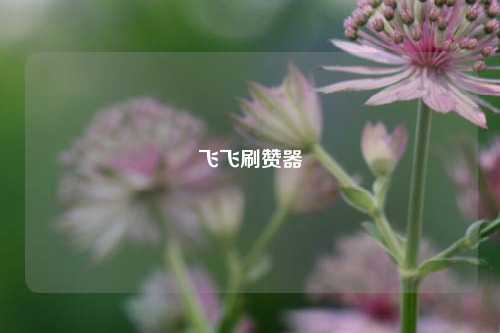 飞飞刷赞器