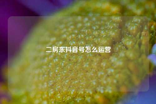 二房东抖音号怎么运营