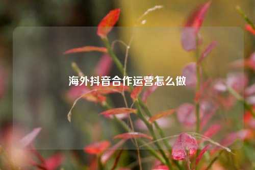 海外抖音合作运营怎么做