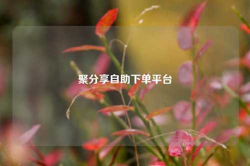 聚分享自助下单平台