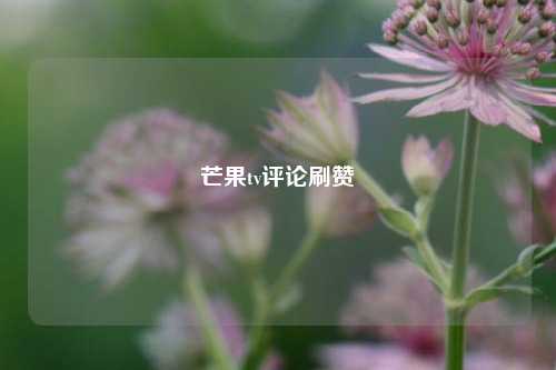 芒果tv评论刷赞