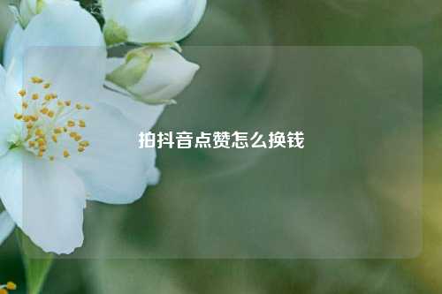 拍抖音点赞怎么换钱
