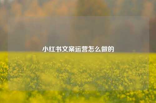 小红书文案运营怎么做的