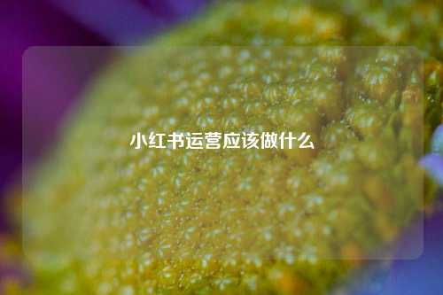 小红书运营应该做什么
